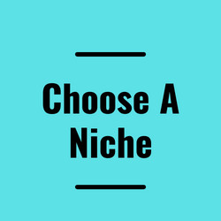 choose an amateuri blogging niche